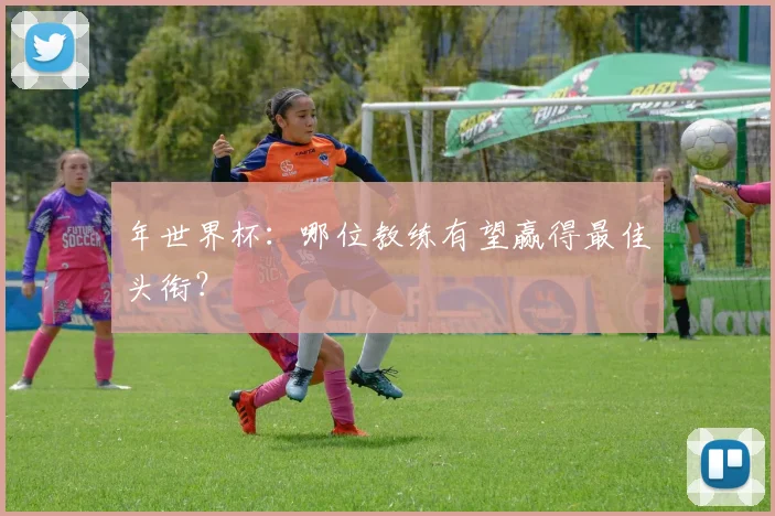 年世界杯：哪位教练有望赢得最佳头衔？