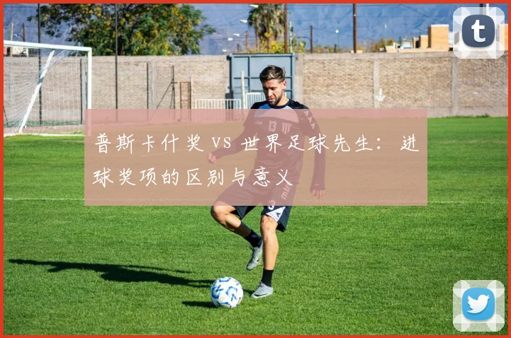 普斯卡什奖 vs 世界足球先生：进球奖项的区别与意义